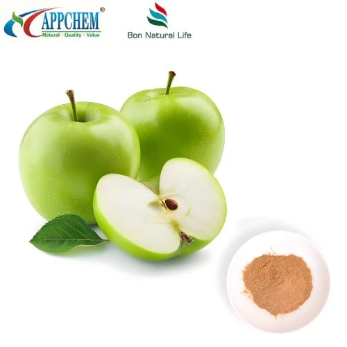 Antioxidáns összetevő, Procyanidin B2 por