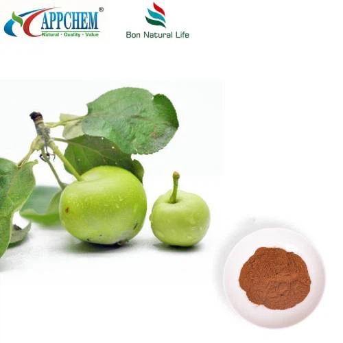 Apple Polyphenols Powder UV70% Szabadalmaztatott termék
