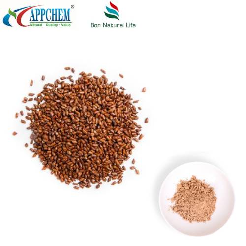 Cassia mag kivonat