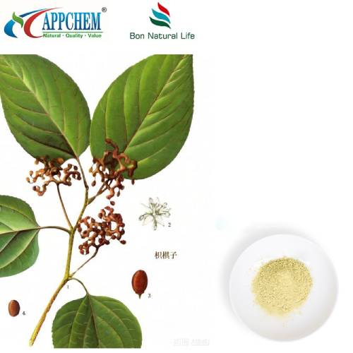 Hovenia Dulcis kivonat por