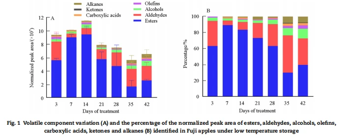 info-704-281