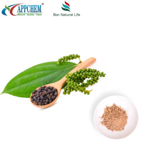 Ligustrum gyümölcskivonat por