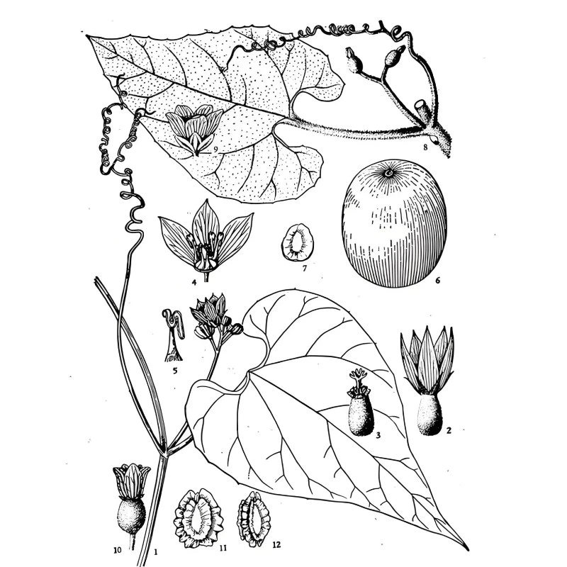 -600kb-800-800 -600kb-800-800