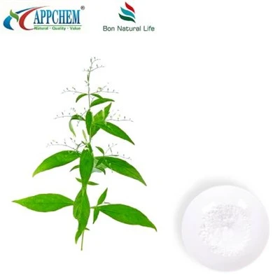 Andrographis Paniculata Andrographolide kivonat