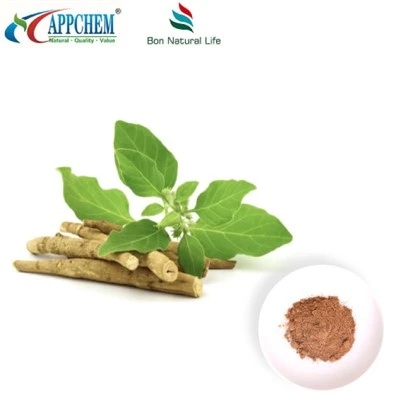 Ashwagandha kivonat por (withanolides) gyártás 30655-48-2