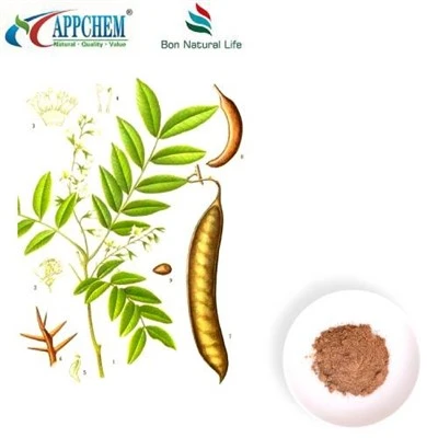Cassia Nomame kivonat