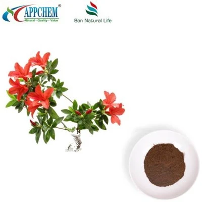 Dahurian Rhodoendron levél kivonat