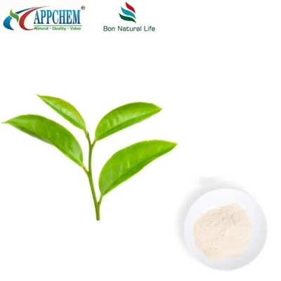 Zöld tea kivonat L{0}}Theanine
