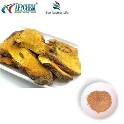 Resveratrol Polygonum Cuspidatum kivonat por
