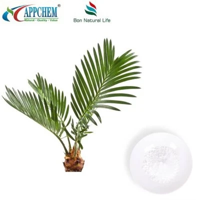 Saw Palmetto kivonat por