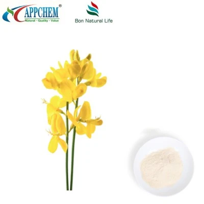 Thermopsis Lanceolata R.BR kivonat; Citiszin HPLC98% Powder 485-35-8